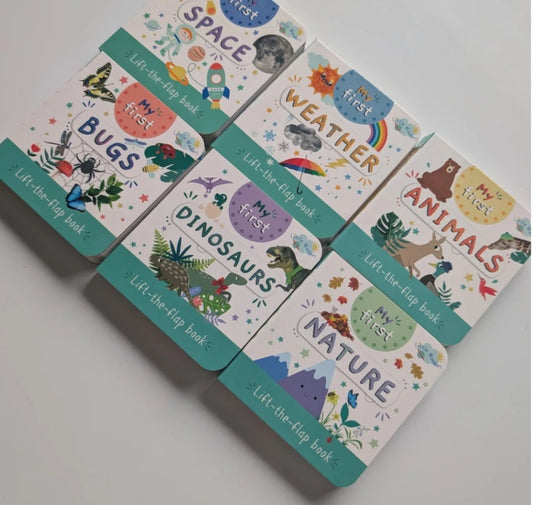 Mini Lift & Flap Books